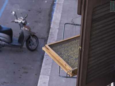 Entriamo in casa di Maril� che ci spiega un po� la vita del quartiere. �In questa strada ci conosciamo un po� tutti � ci dice � e non di rado capita che le signore si chiamino dalla finestra per parlare o scambiarsi qualcosa�. Affacciandoci riusciamo a carpire il folklore tipico di questa parte di Bari: da una finestra sotto di noi sporgono infatti delle orecchiette appena fatte, messe fuori ad �asciugare� (foto di Gennaro Gargiulo)